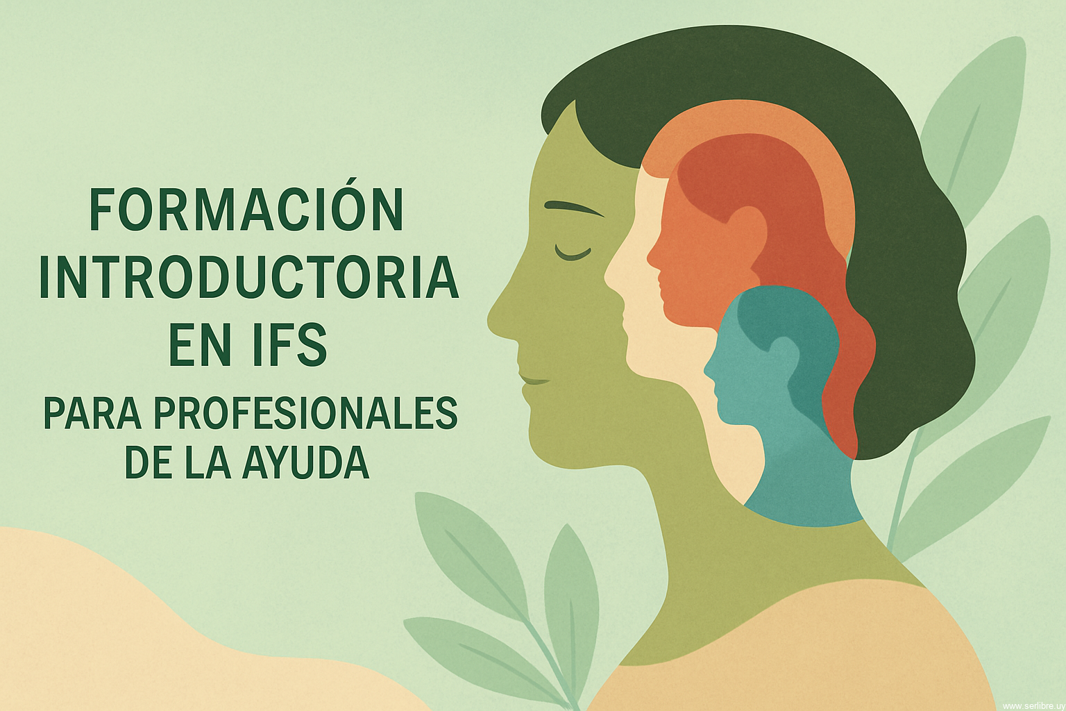 Curso de Introducción al IFS para profesionales de la ayuda